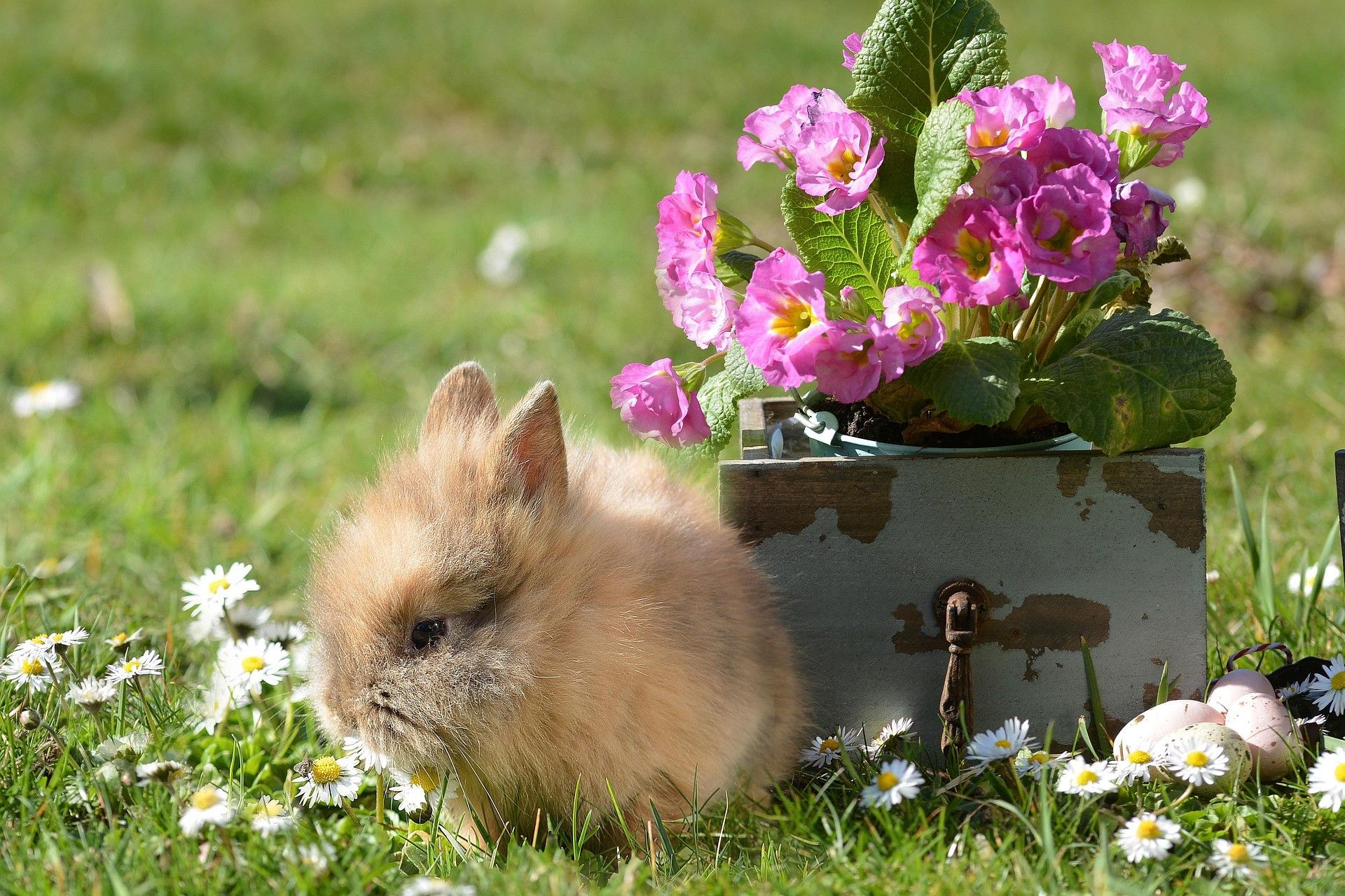Húsvéti & Tavaszi Szüneti Feltöltődés Egerszalókon