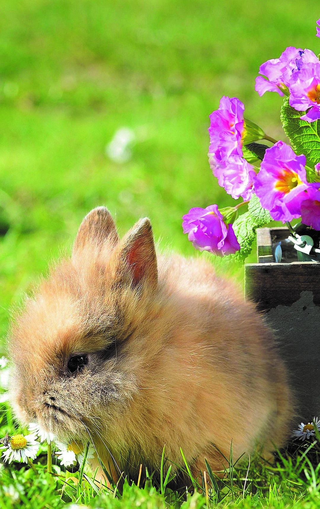 Húsvéti & Tavaszi Szüneti Feltöltődés Egerszalókon
